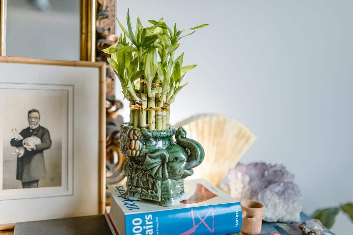 Découvrir l’impact méconnu de l’aménagement Feng Shui sur votre bien-être quotidien